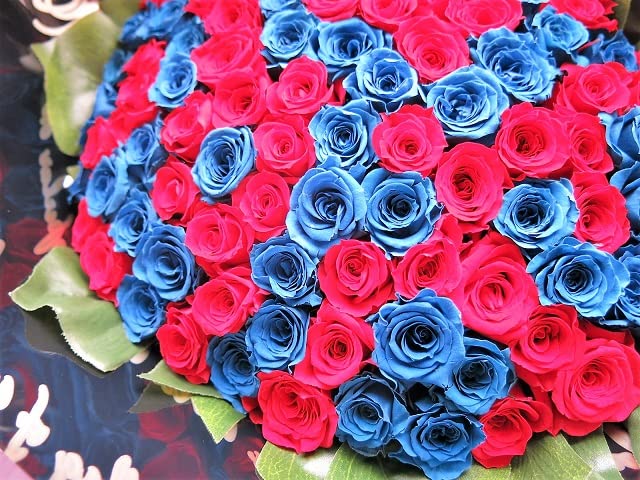 Amazon｜プロポーズ 彼女 100本 花束 赤バラ 青バラ 花束 プリザーブド